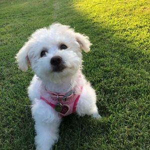 Meet your Posher, Aaliyah